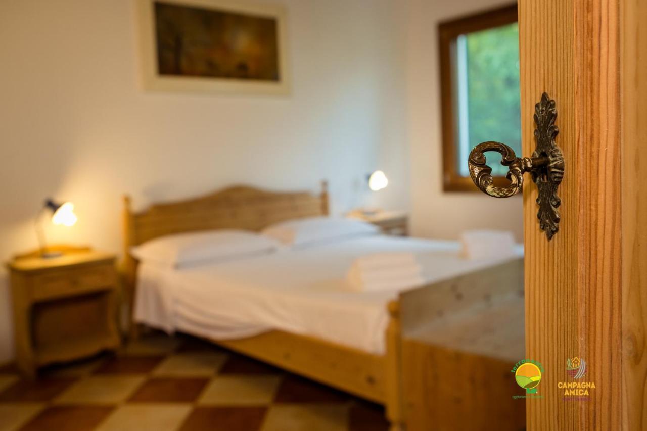 La Via Antiga Lägenhet Cittanova  Exteriör bild