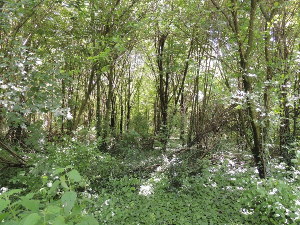 La Via Antiga Lägenhet Cittanova  Exteriör bild